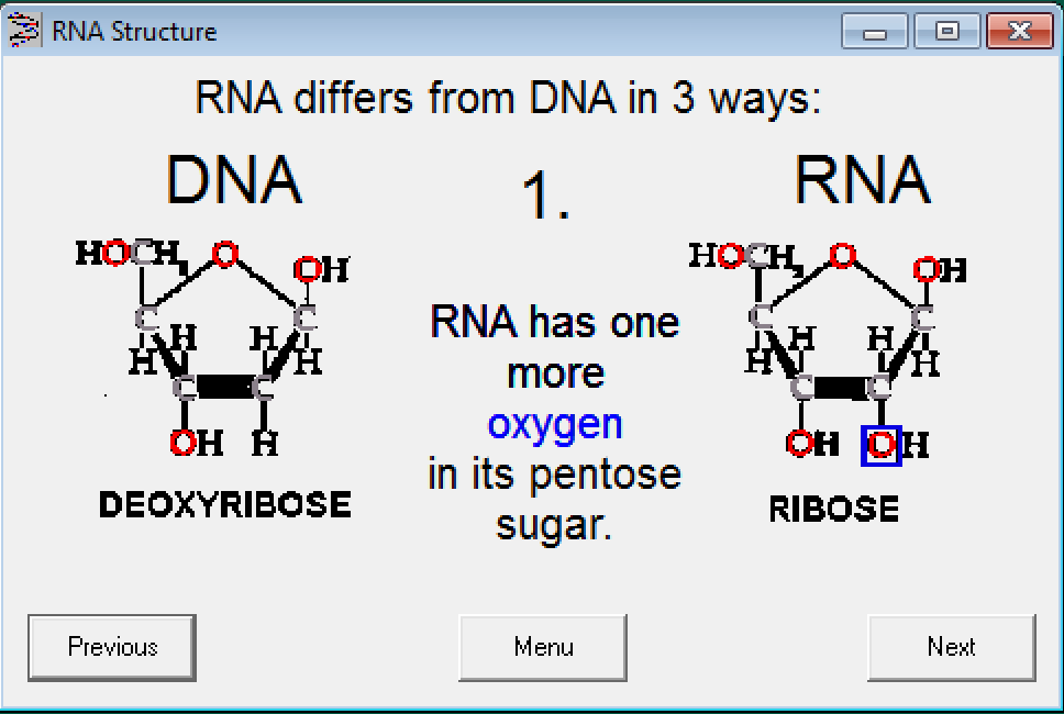 Dna The Master Molecule Computer Simulation Key